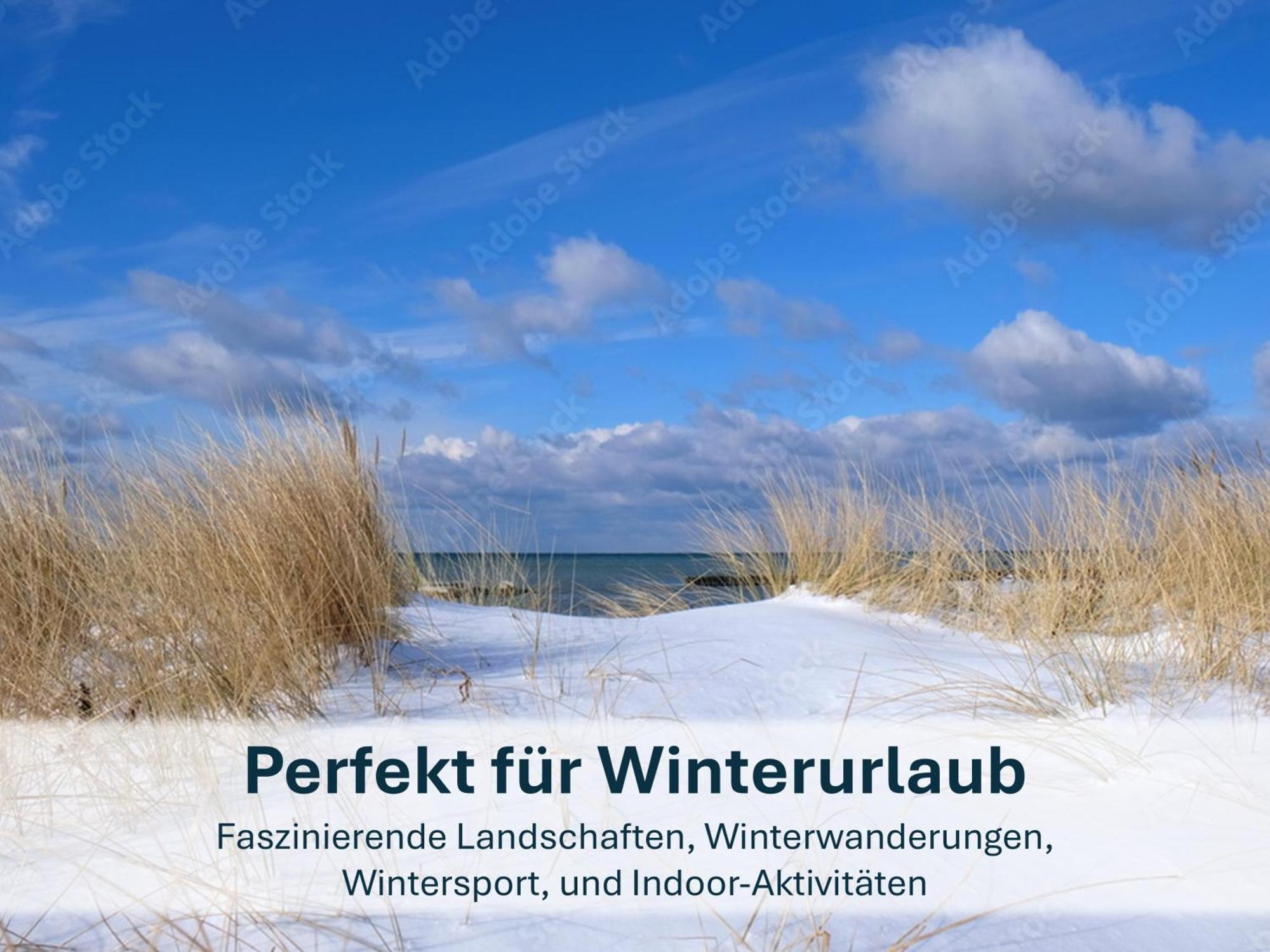 Zinnowitz, Paradies Am Wald - Wg 05 Zewnętrze zdjęcie