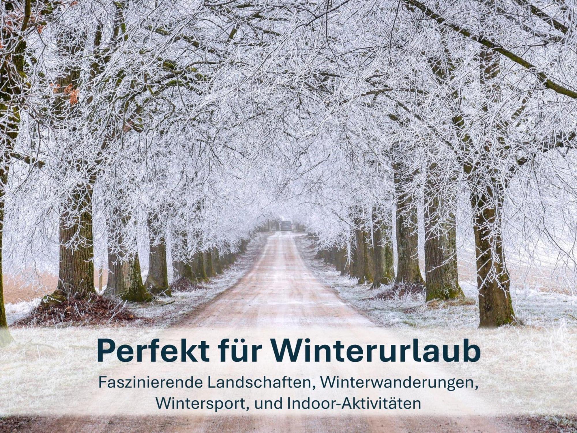 Zinnowitz, Paradies Am Wald - Wg 05 Zewnętrze zdjęcie